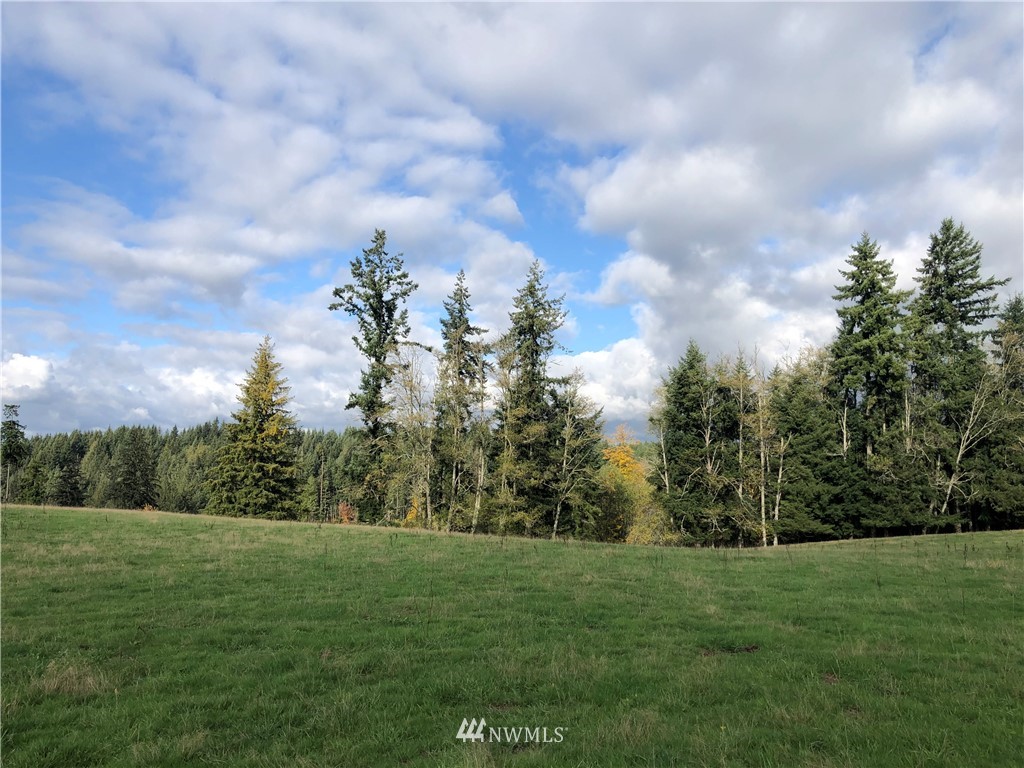 2 Oppelt Road Chehalis, WA 98532 - Photo 10 of 11 a view of a big yard with trees in the background
