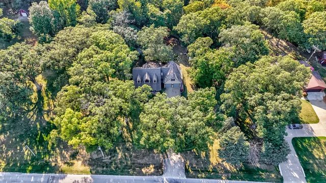 an outdoor space with lots of plants