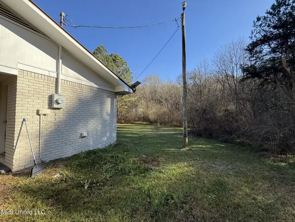 $115,000 | 22 County Road 253, Louin, MS 39338