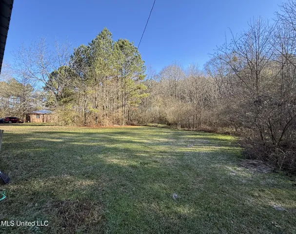 $120,000 | 22 County Road 253, Louin, MS 39338