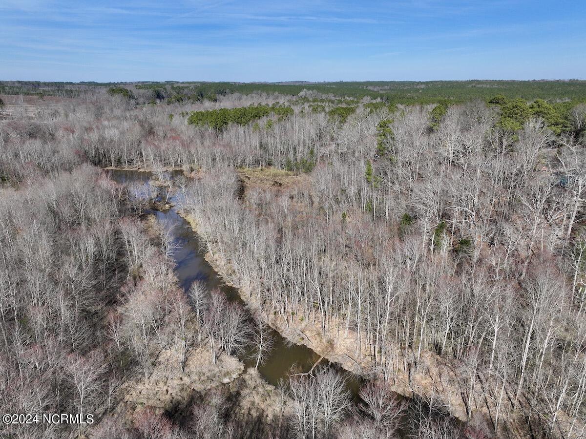 657 Collins Mill Road Castalia, NC 27816 - Photo 94 of 148 DJI_20240220143412_0898_D