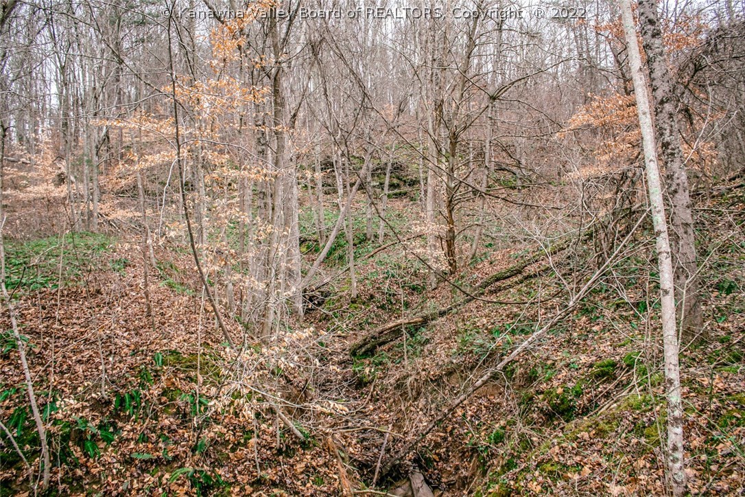 4075 Stone Lick Road Kenna, WV 25248 - Photo 19 of 20 Gallery Image 19