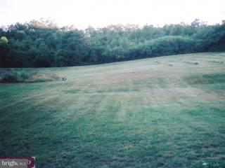 90 Cassel Road Reading, PA 19606 - Photo 3 of 6 Gallery Image 3
