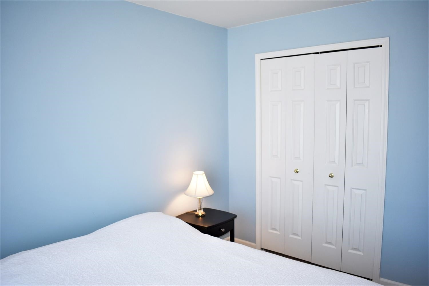 263 Dundee Ridge Drive Dundee, MI 48131 - Photo 12 of 28 Photo 12