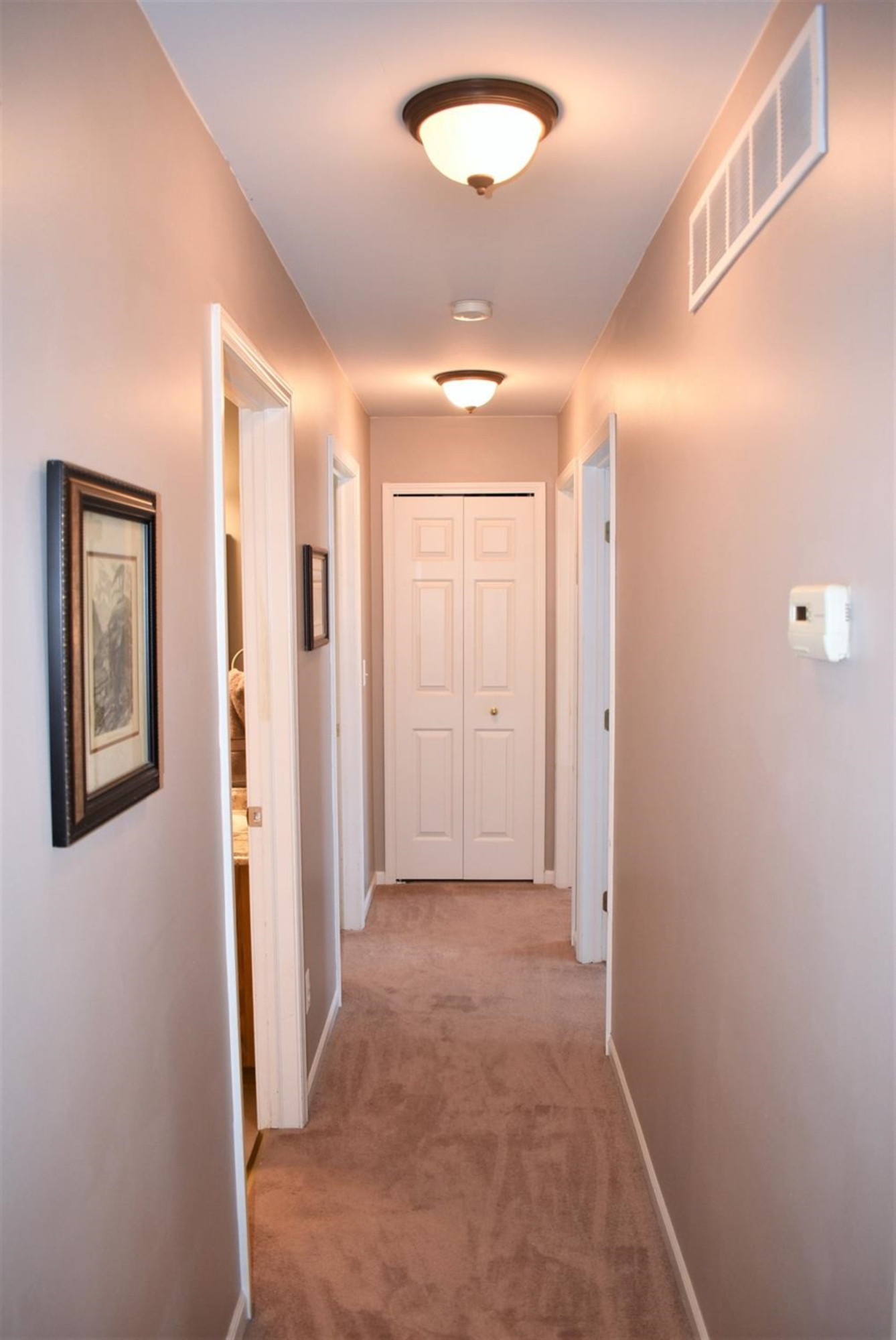 263 Dundee Ridge Drive Dundee, MI 48131 - Photo 16 of 28 Photo 16