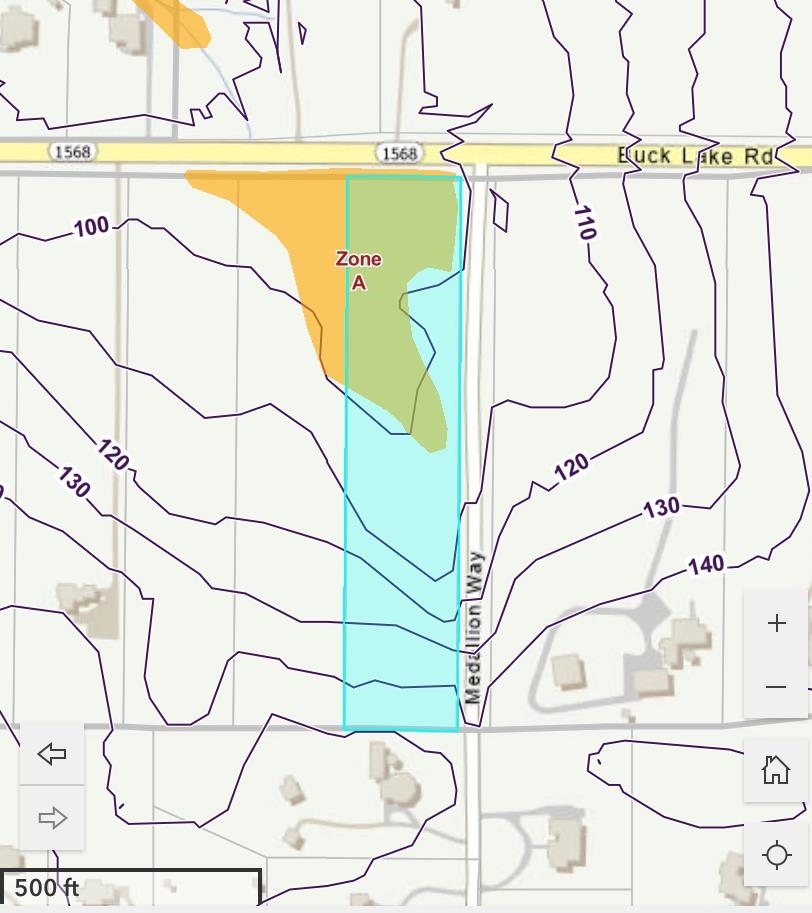 0 Buck Lake Road Tallahassee, FL 32317 - Photo 4 of 6