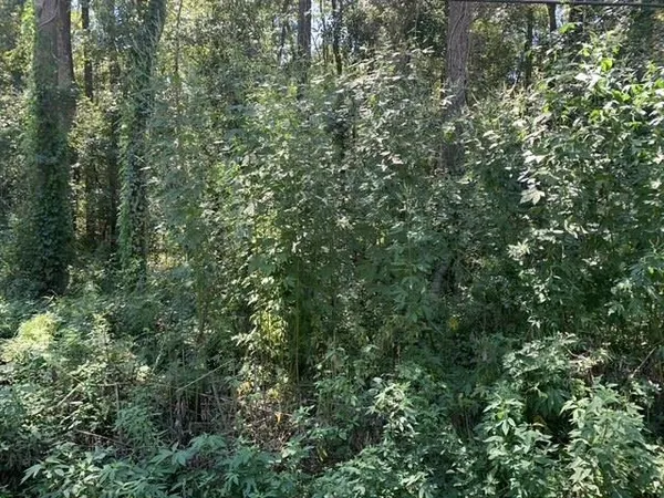$179,000 | 0 Buck Lake Road, Tallahassee, FL 32317