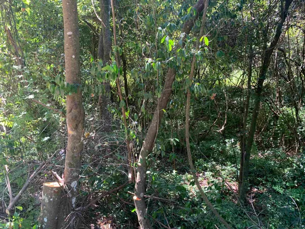 $179,000 | 0 Buck Lake Road, Tallahassee, FL 32317