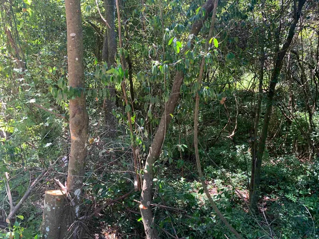 $189,000 | 0 Buck Lake Road, Tallahassee, FL 32317