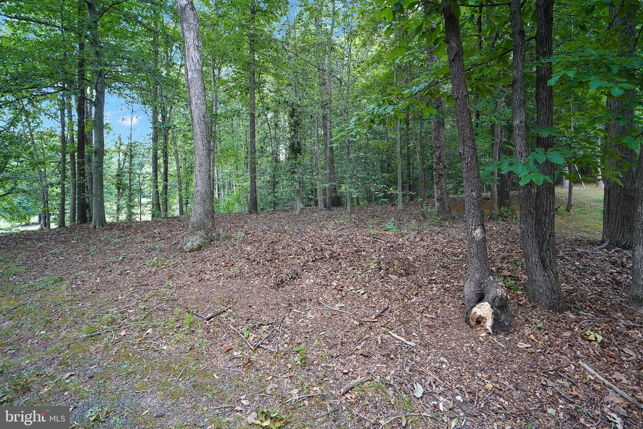6067 Pilgrims Rest Road Broad Run, VA 20137 - Photo 54 of 58
