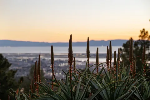 $1,245,000 | 298 Stantonville Drive, Oakland, CA 94619