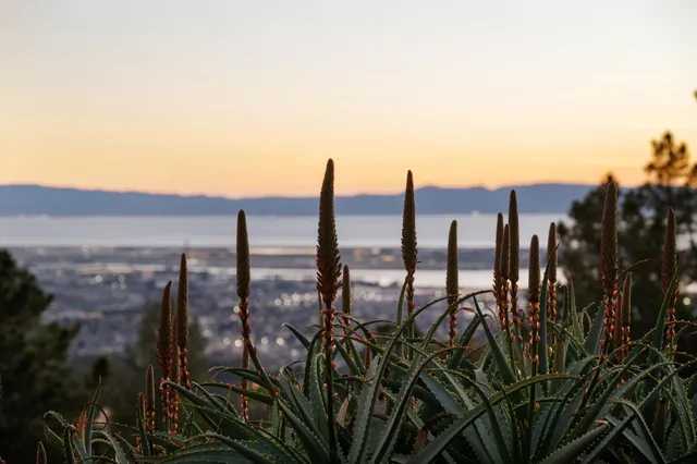 $1,245,000 | 298 Stantonville Drive, Oakland, CA 94619