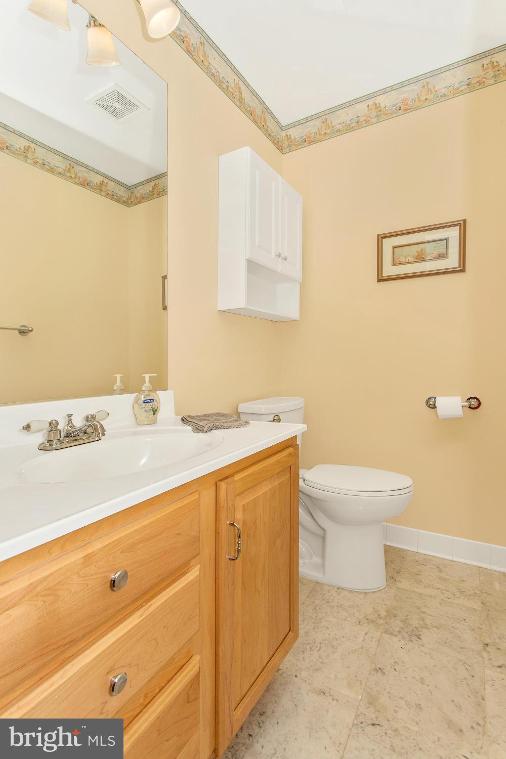 11841 Renner Road Keymar, MD 21757 - Photo 18 of 30 a bathroom with a sink a toilet and a mirror