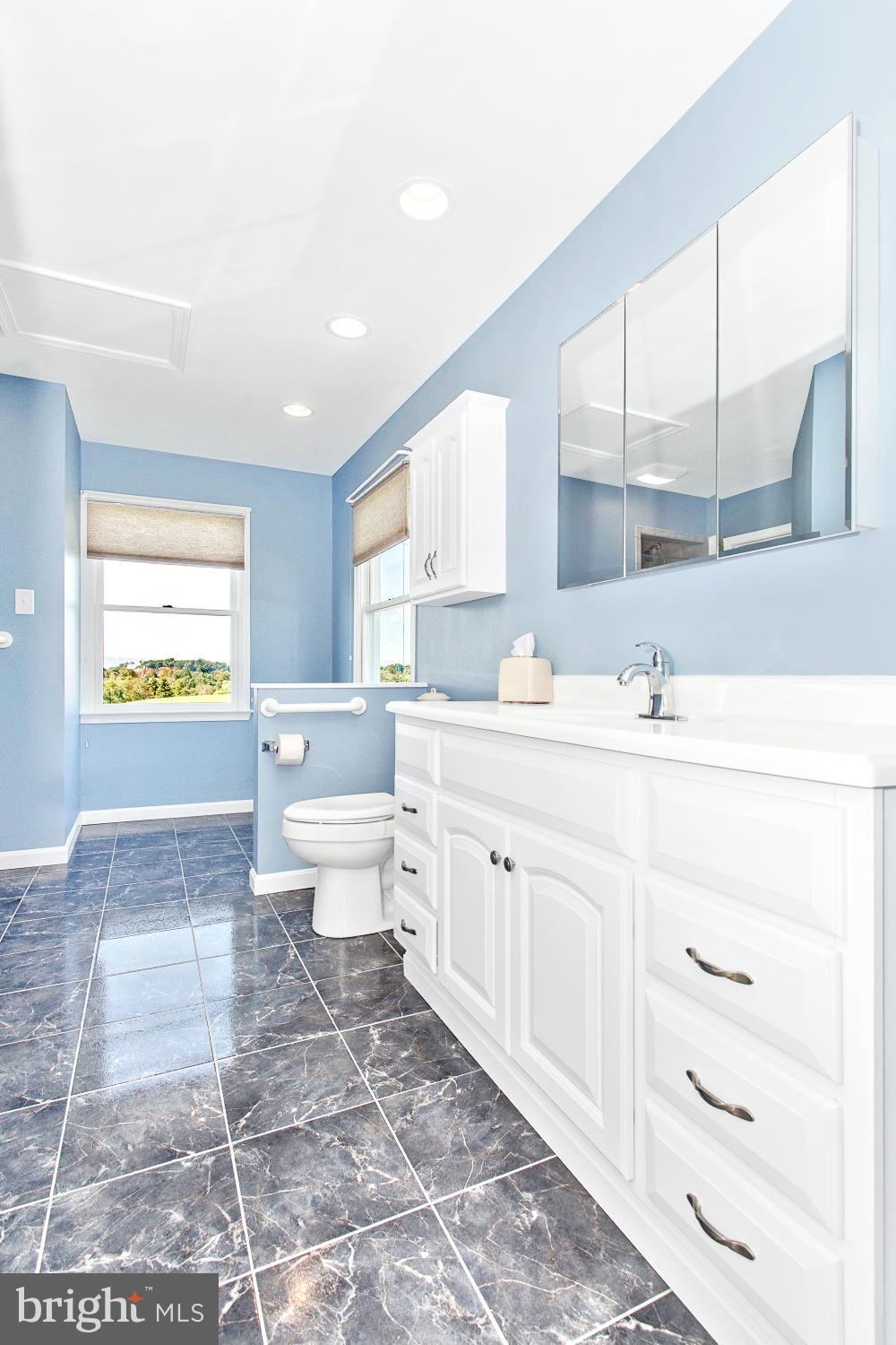11841 Renner Road Keymar, MD 21757 - Photo 21 of 30 a bathroom with a sink a toilet and a window