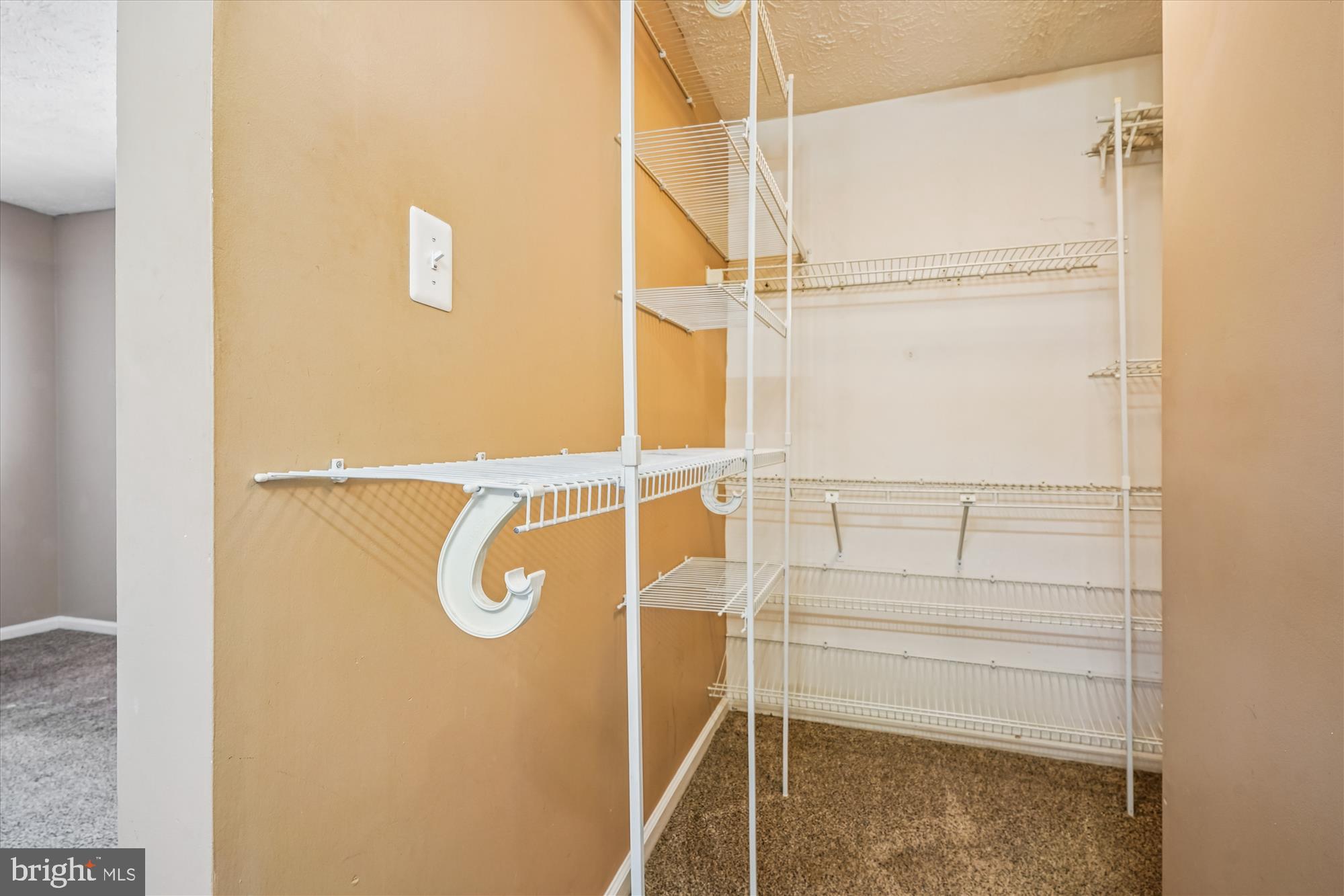 14740 Winding Loop Woodbridge, VA 22191 - Photo 34 of 59 a bathroom with a shower