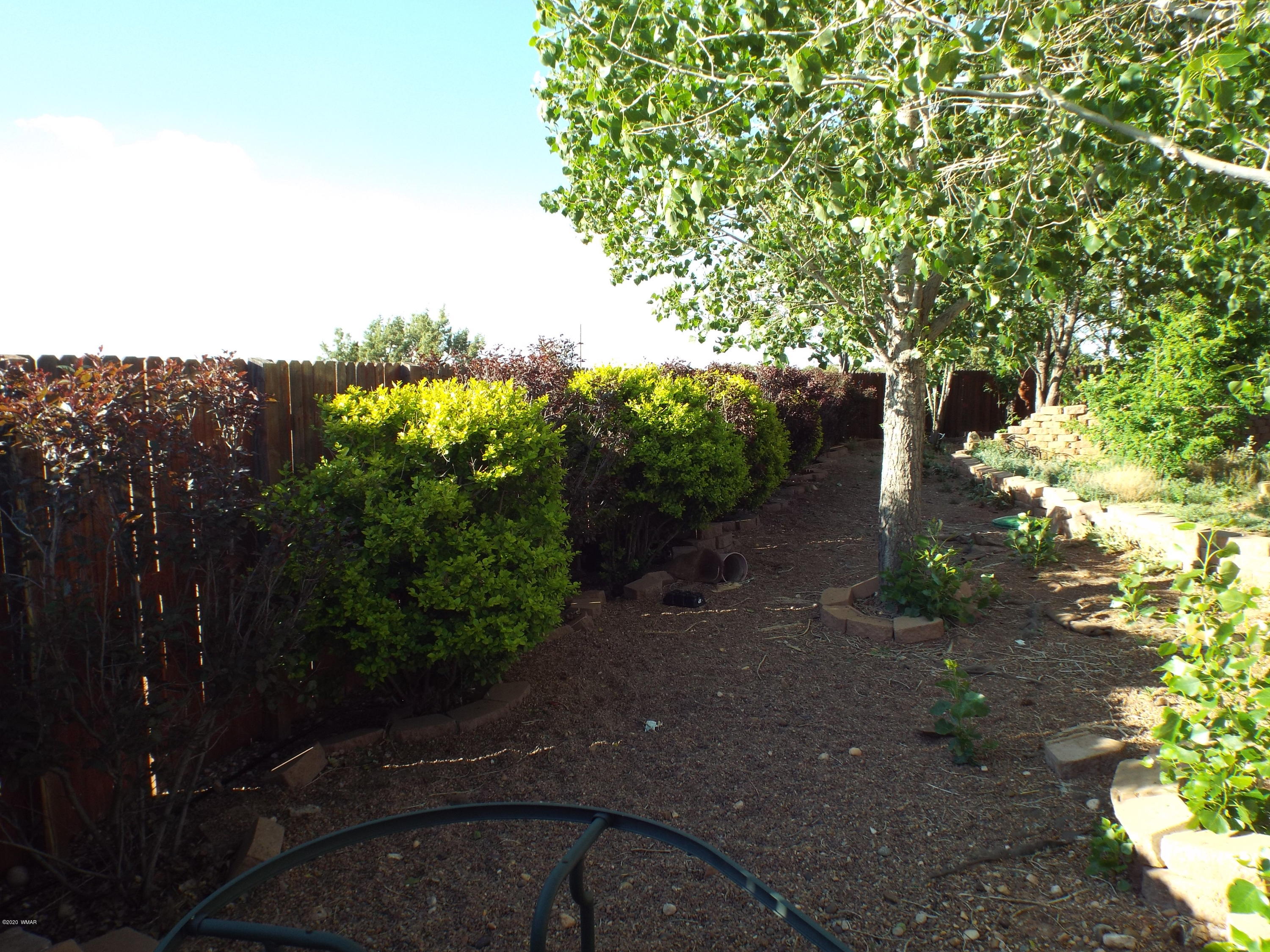 4401 Apache Road Snowflake, AZ 85937 - Photo 14 of 50