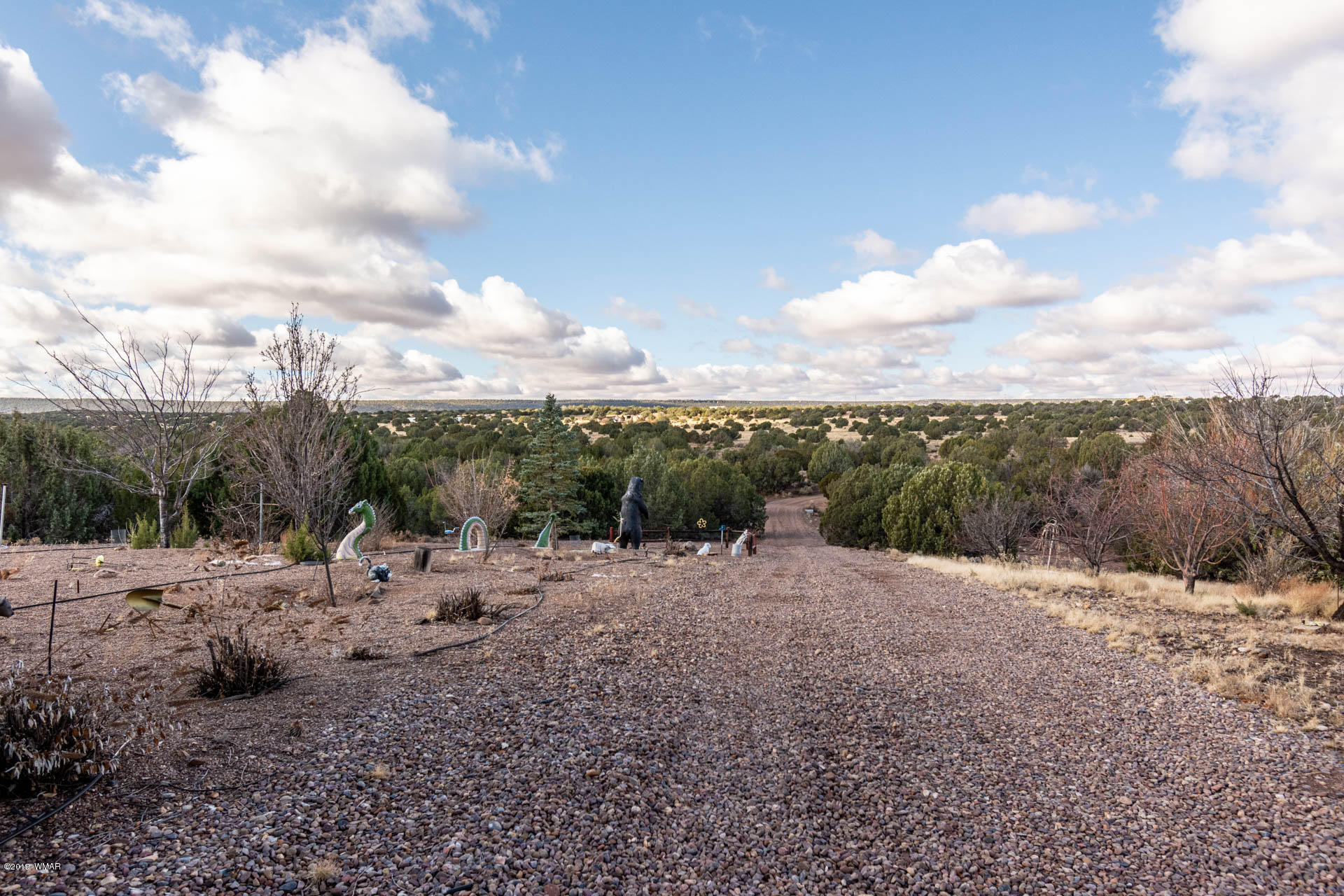 4401 Apache Road Snowflake, AZ 85937 - Photo 42 of 50