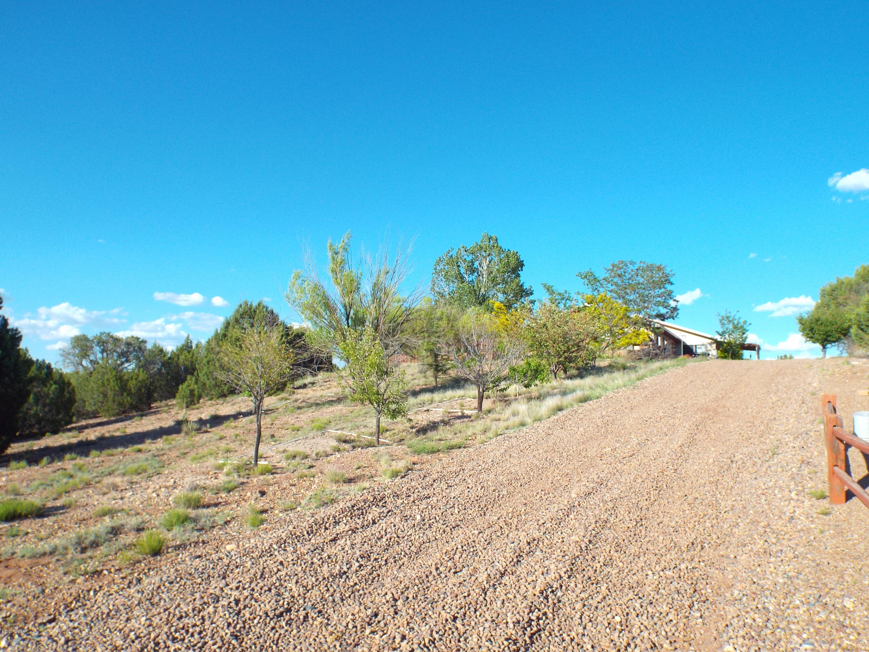 4401 Apache Road Snowflake, AZ 85937 - Photo 5 of 50