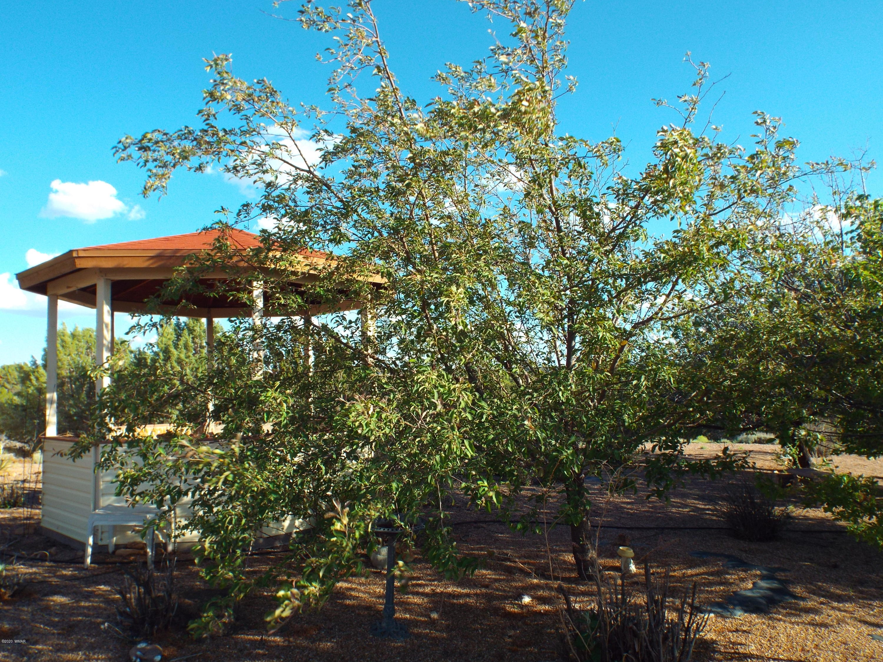 4401 Apache Road Snowflake, AZ 85937 - Photo 8 of 50