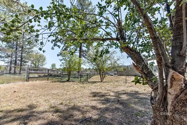a view of yard with tree