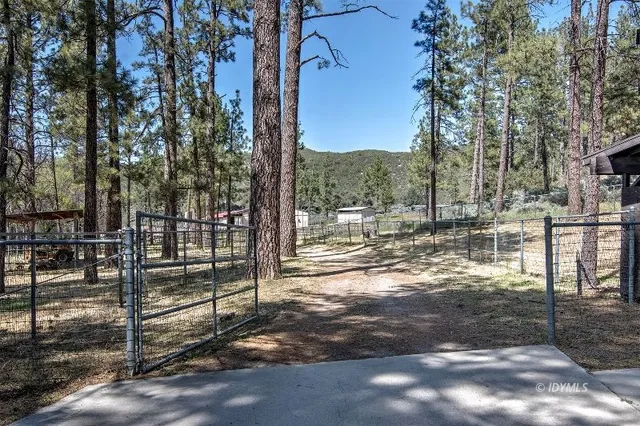 a living room with furniture a fireplace and a floor to ceiling window