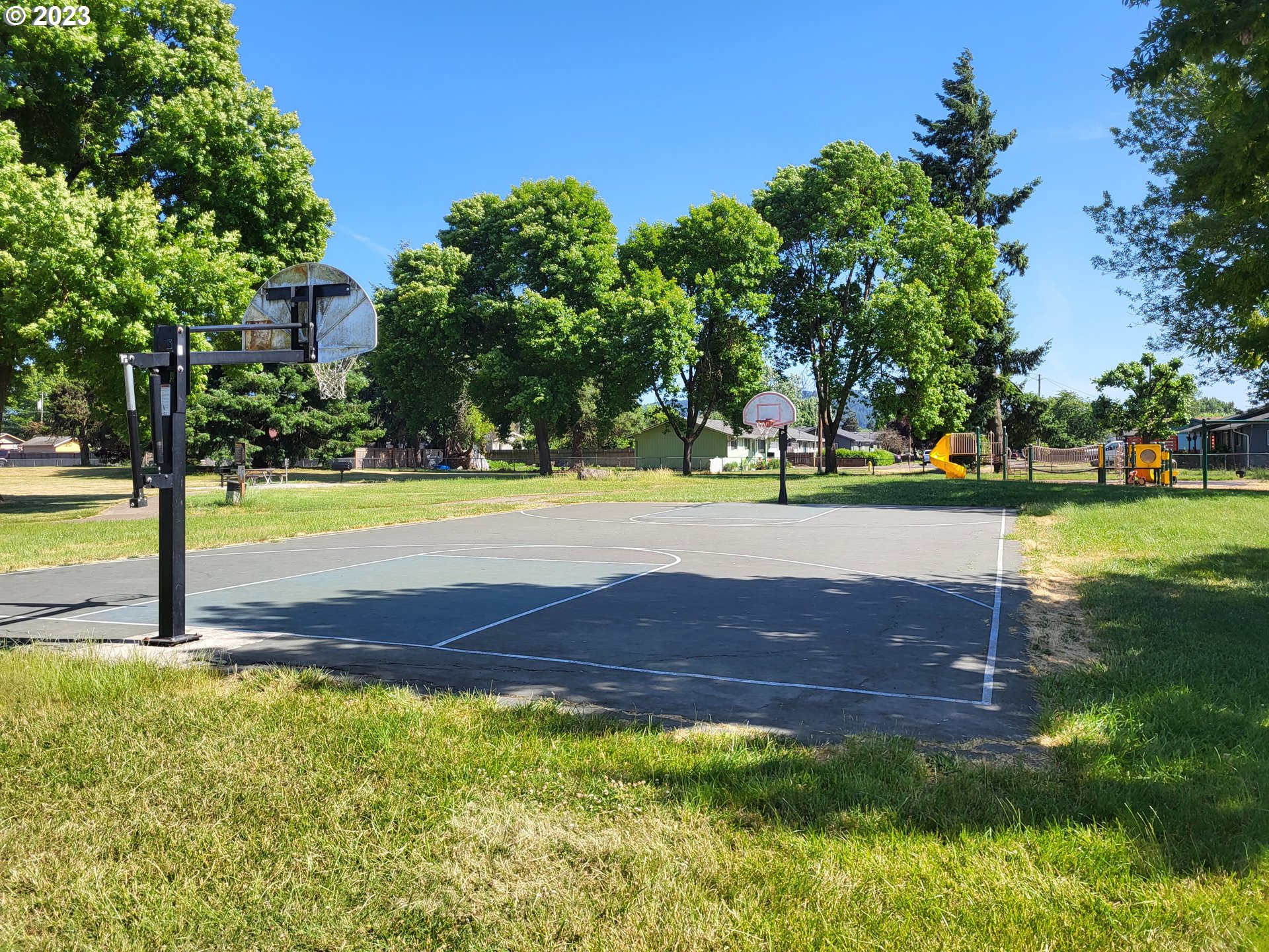 588 37th Street Springfield, OR 97478 - Photo 7 of 18 a view of a park with large trees