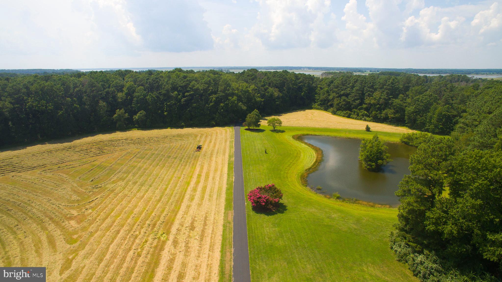 7403 South Point Road Berlin, MD 21811 - Photo 4 of 123 Gallery Image 4