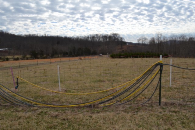 129 Rushing Springs Road Monterey, TN 38574 - Photo 22 of 49 Gallery Image 22