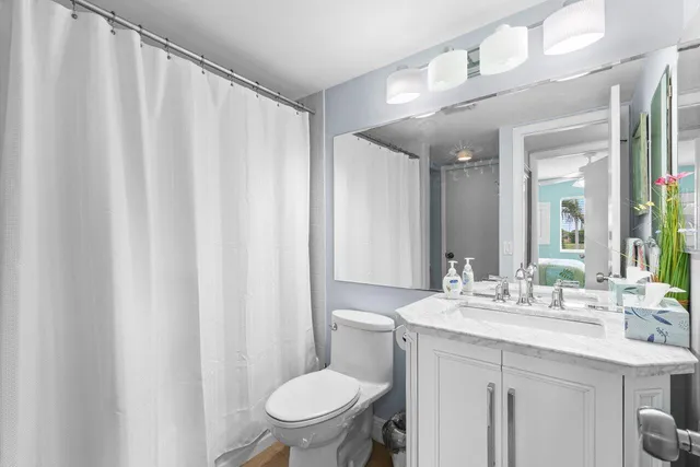 a bathroom with a sink a toilet a mirror and shower curtain
