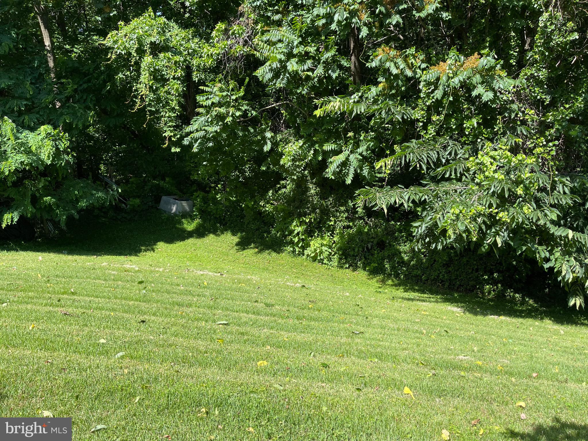 12815 Glynis Road Clinton, MD 20735 - Photo 15 of 39 Back yard
