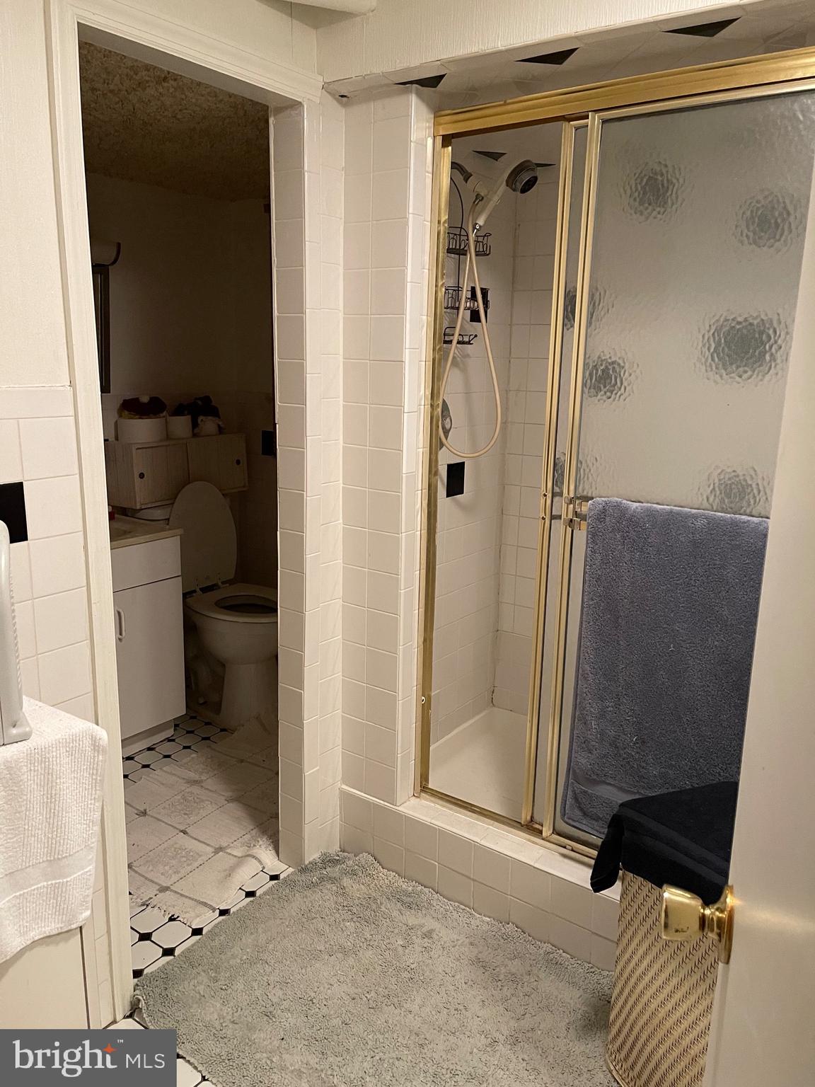 12815 Glynis Road Clinton, MD 20735 - Photo 26 of 39 Full bath on lower level
