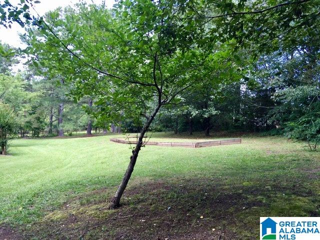 7721 Clayton Road Pinson, AL 35126 - Photo 47 of 50