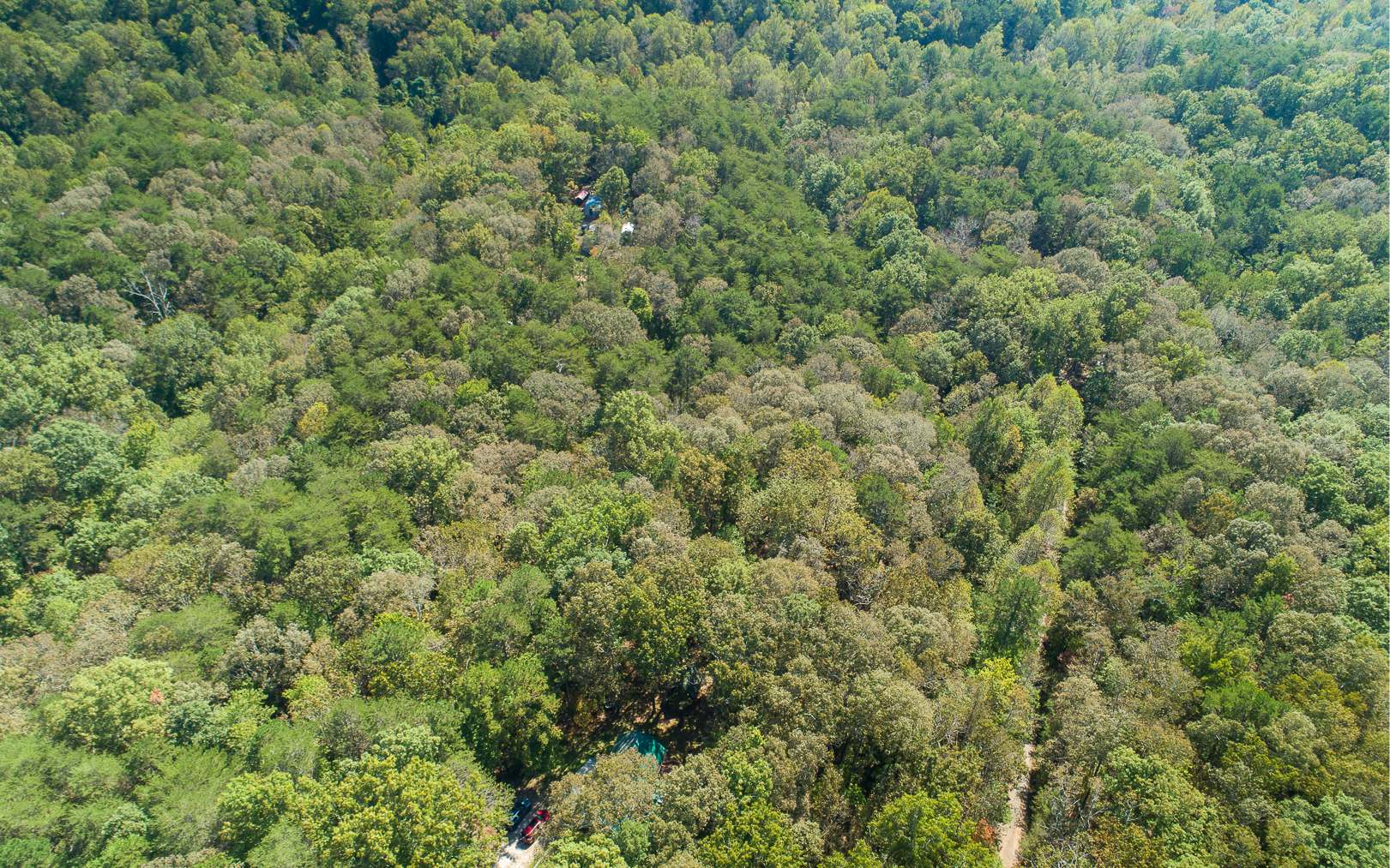 Additional View