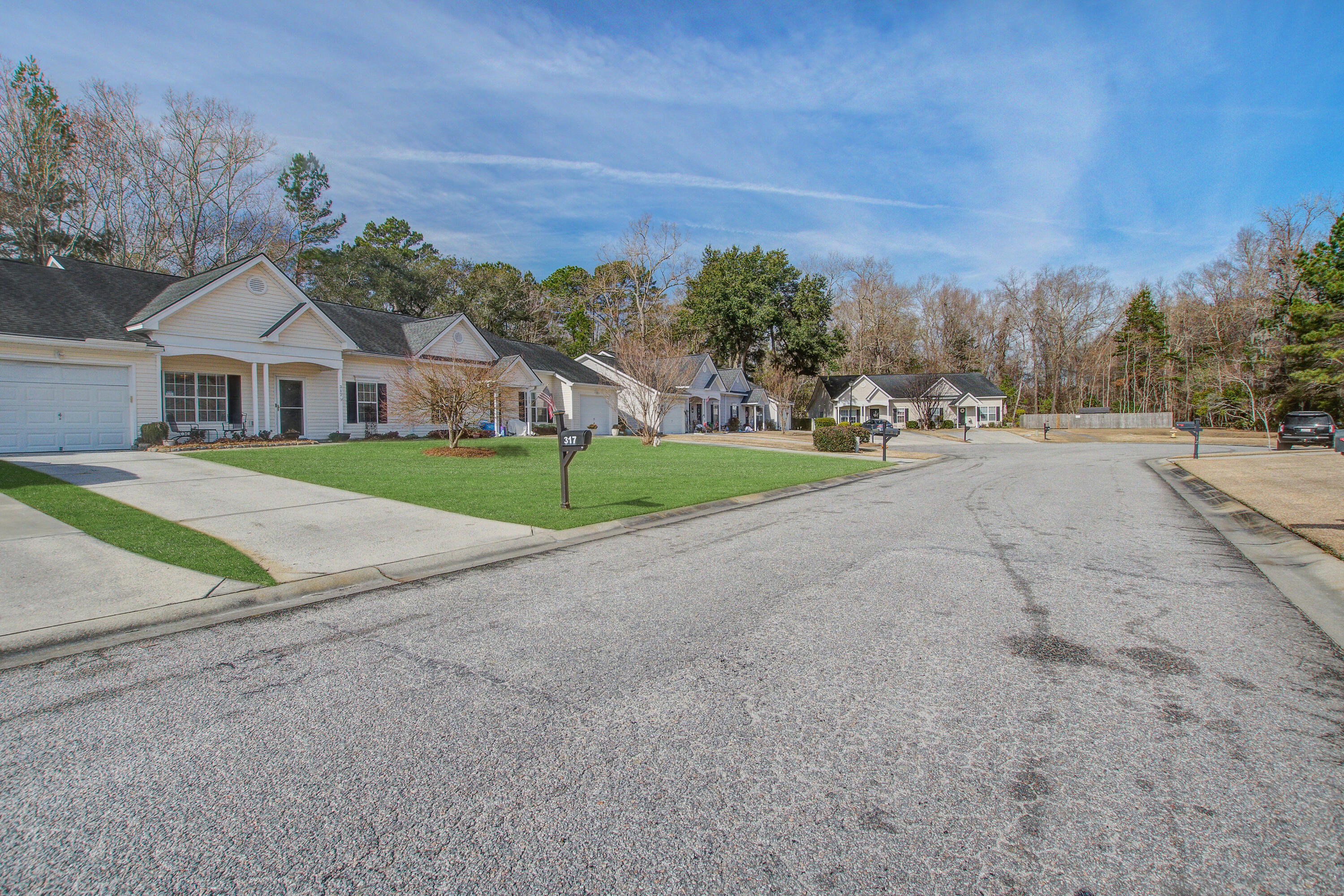 317 Dupont Way Summerville, SC 29485 - Photo 40 of 41 317 (2)