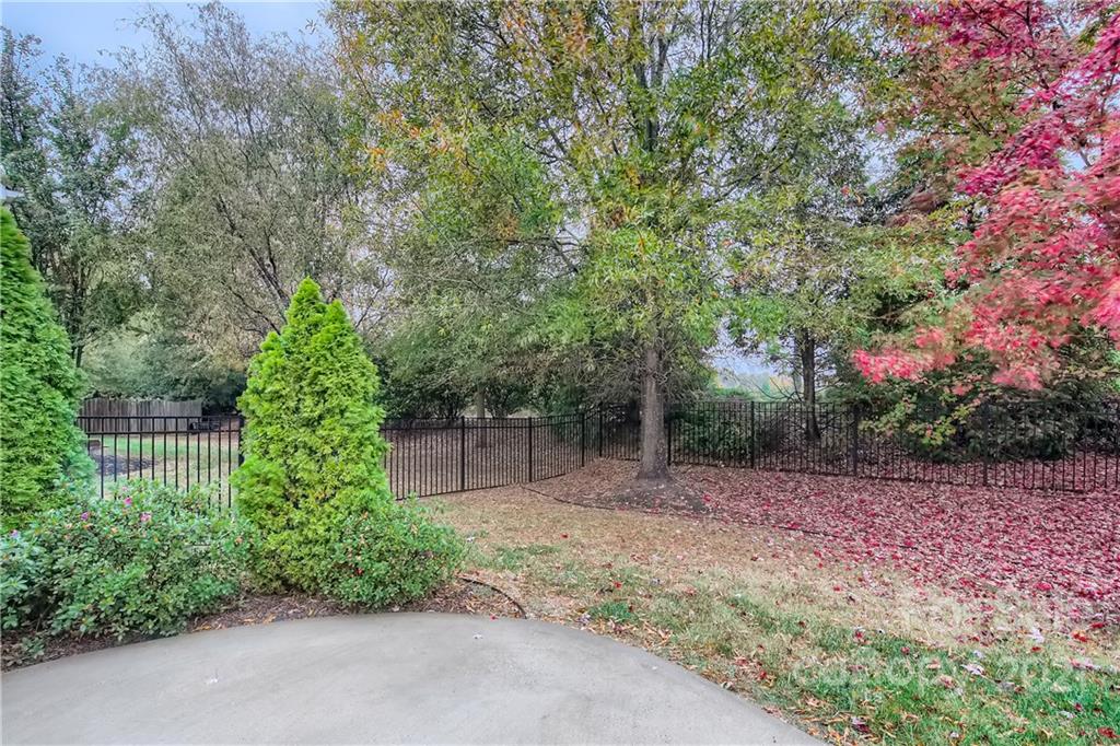 430 Glandon Court Fort Mill, SC 29708 - Photo 31 of 32 Gallery Image 31