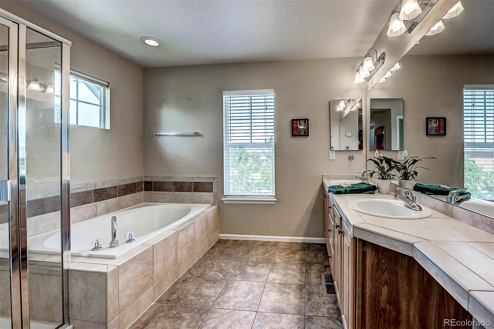 10737 Towerbridge Circle Highlands Ranch, CO 80130 - Photo 15 of 30