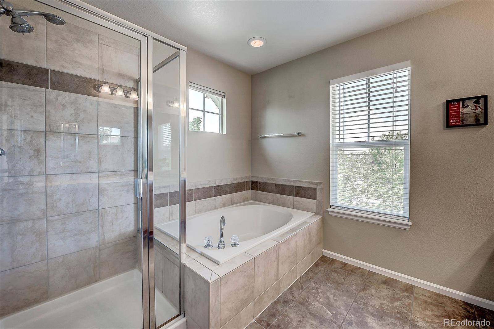 10737 Towerbridge Circle Highlands Ranch, CO 80130 - Photo 16 of 30