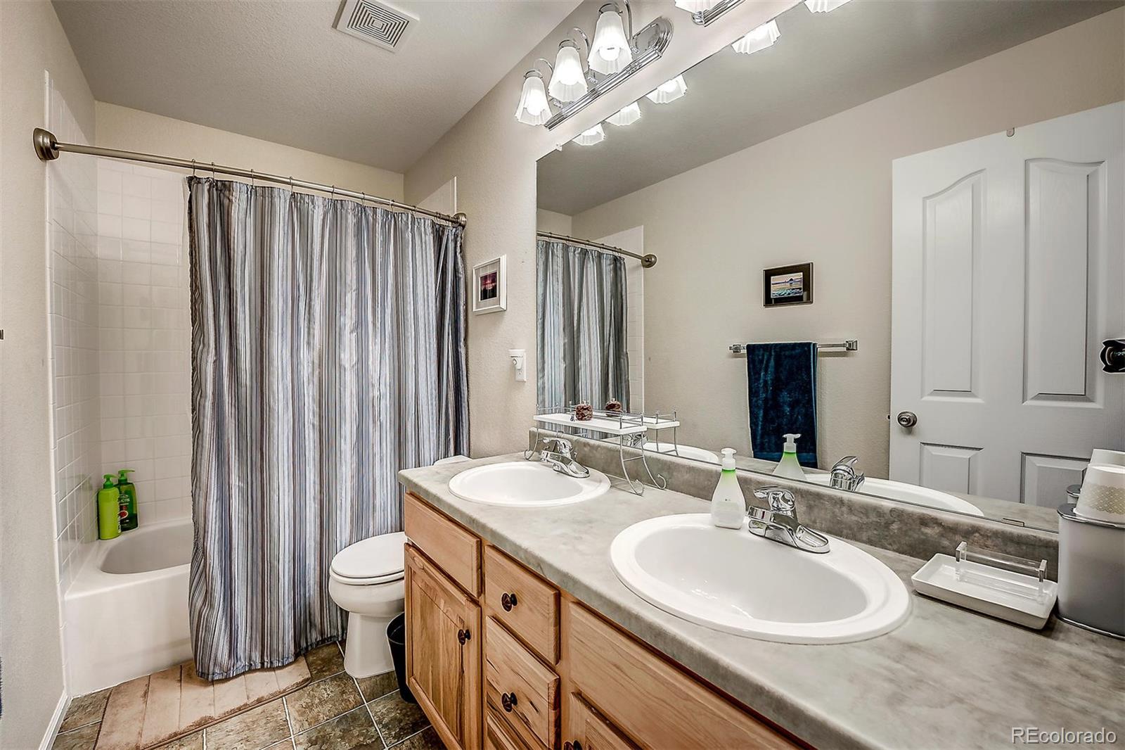 10737 Towerbridge Circle Highlands Ranch, CO 80130 - Photo 17 of 30