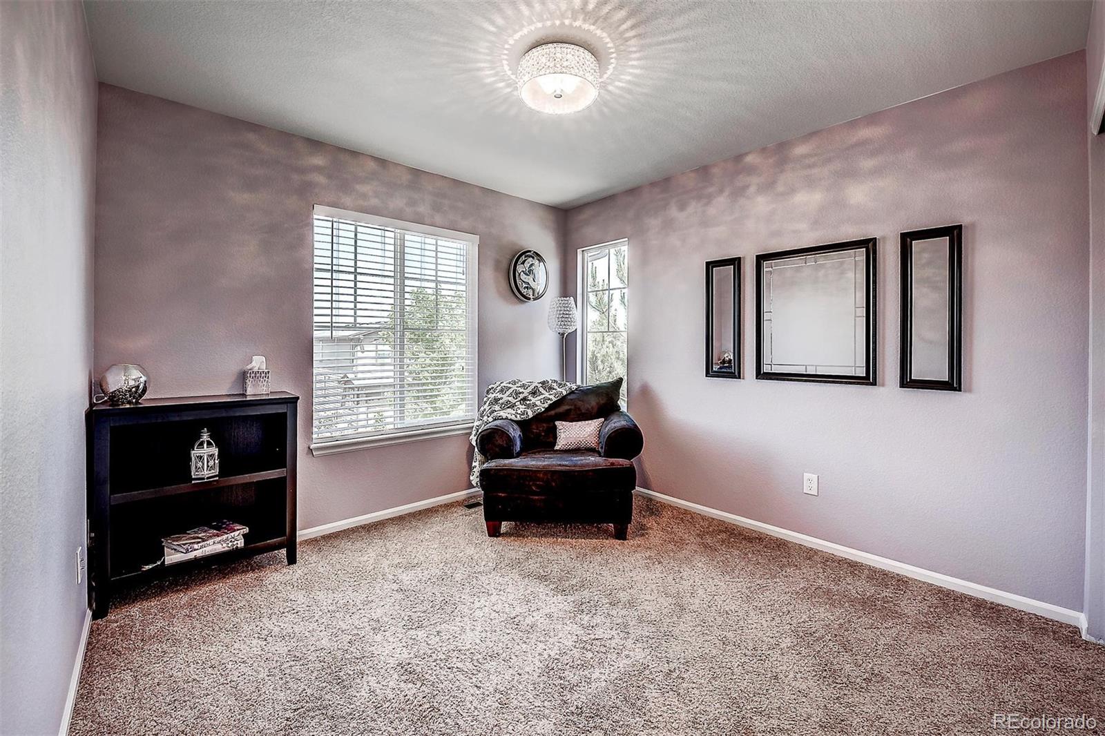 10737 Towerbridge Circle Highlands Ranch, CO 80130 - Photo 20 of 30