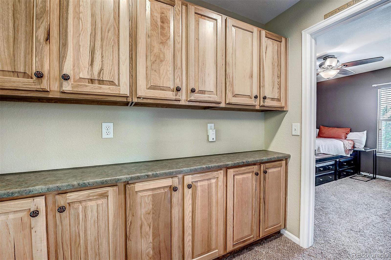 10737 Towerbridge Circle Highlands Ranch, CO 80130 - Photo 21 of 30