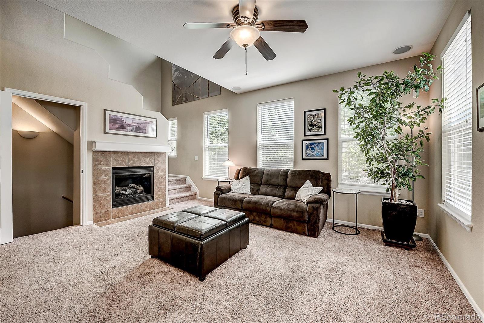 10737 Towerbridge Circle Highlands Ranch, CO 80130 - Photo 10 of 30
