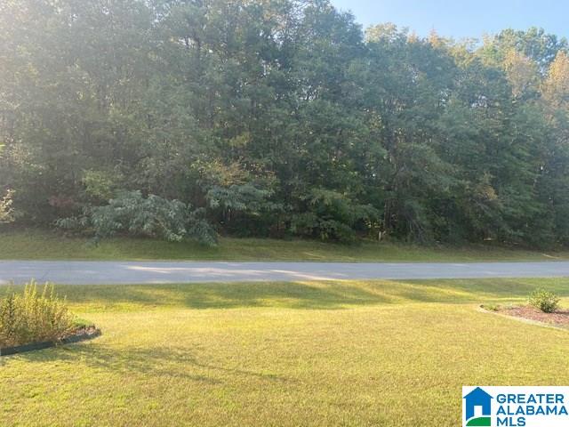 215 Forest Ridge Drive Jacksonville, AL 36265 - Photo 50 of 50