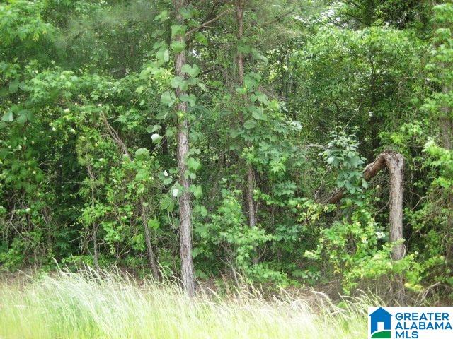 0 Sulphur Springs Road, Unit 10 ACRES Lincoln, AL 35096 - Photo 31 of 32