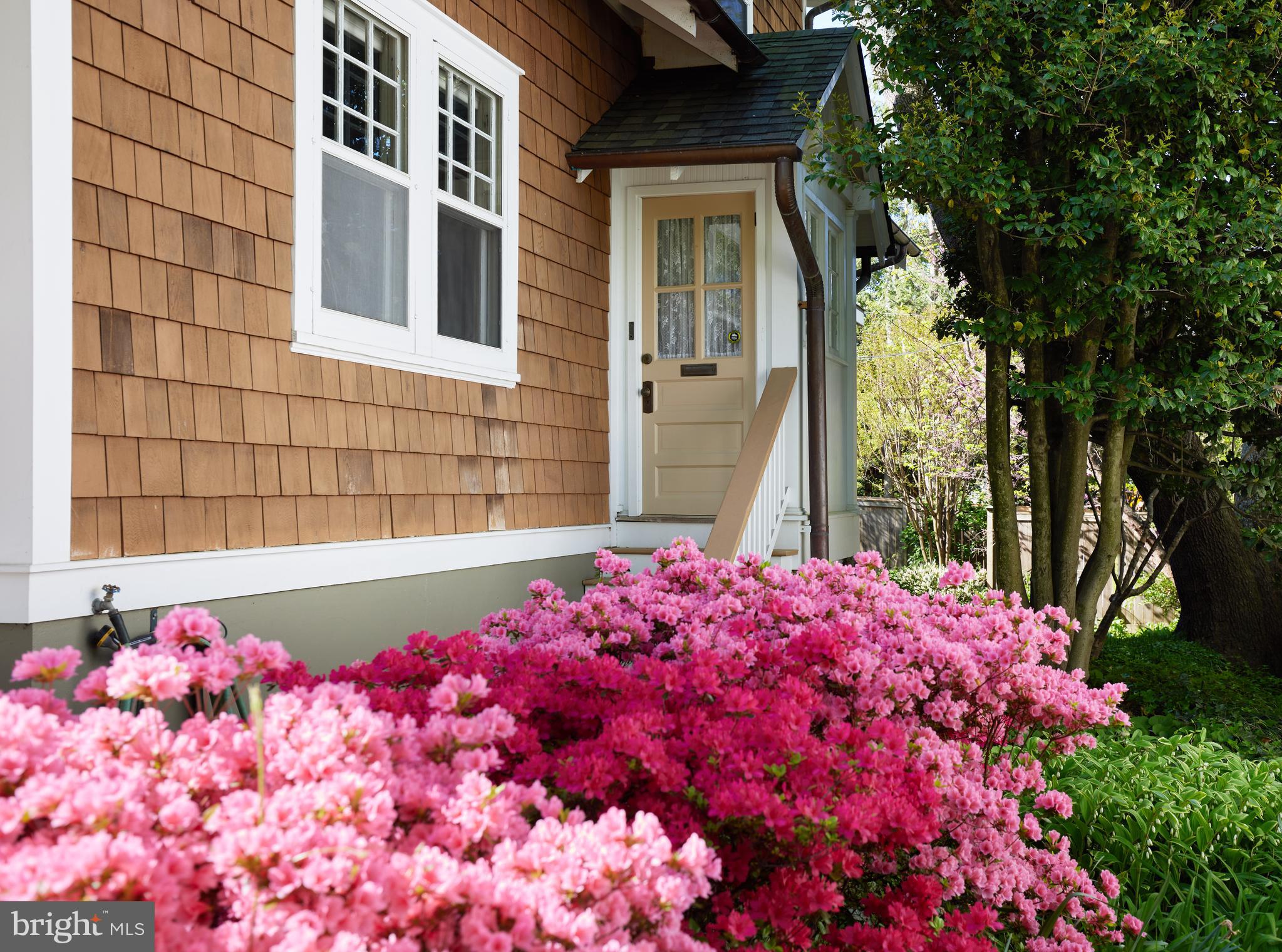 4236 River Road Northwest Washington, DC 20016 - Photo 4 of 44