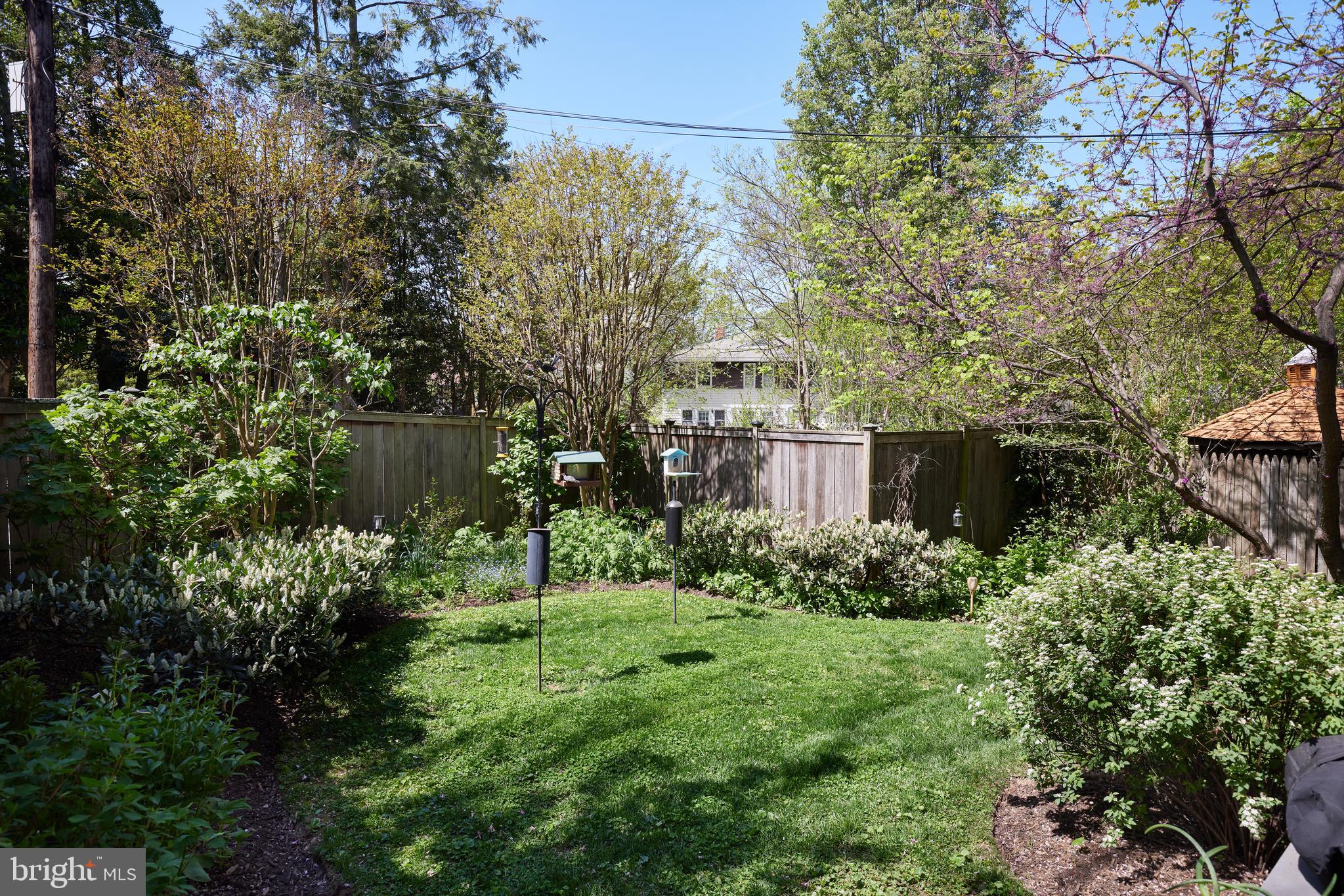 4236 River Road Northwest Washington, DC 20016 - Photo 42 of 44 a view of a garden with plants