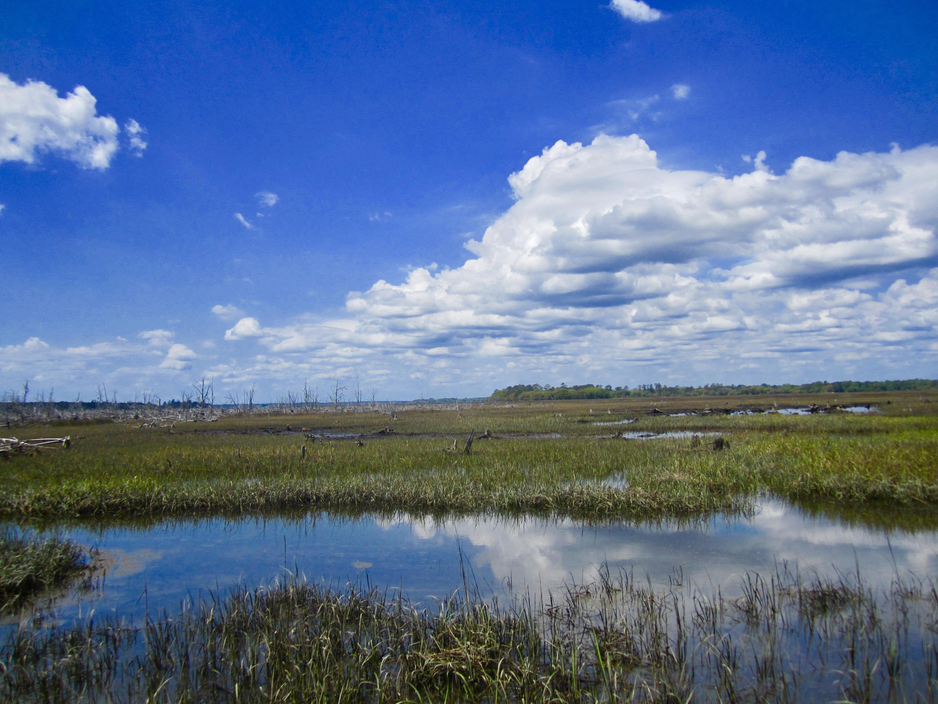 1499 Ravens Bluff Road Johns Island, SC 29455 - Photo 1 of 14 fullsizeoutput_cd9