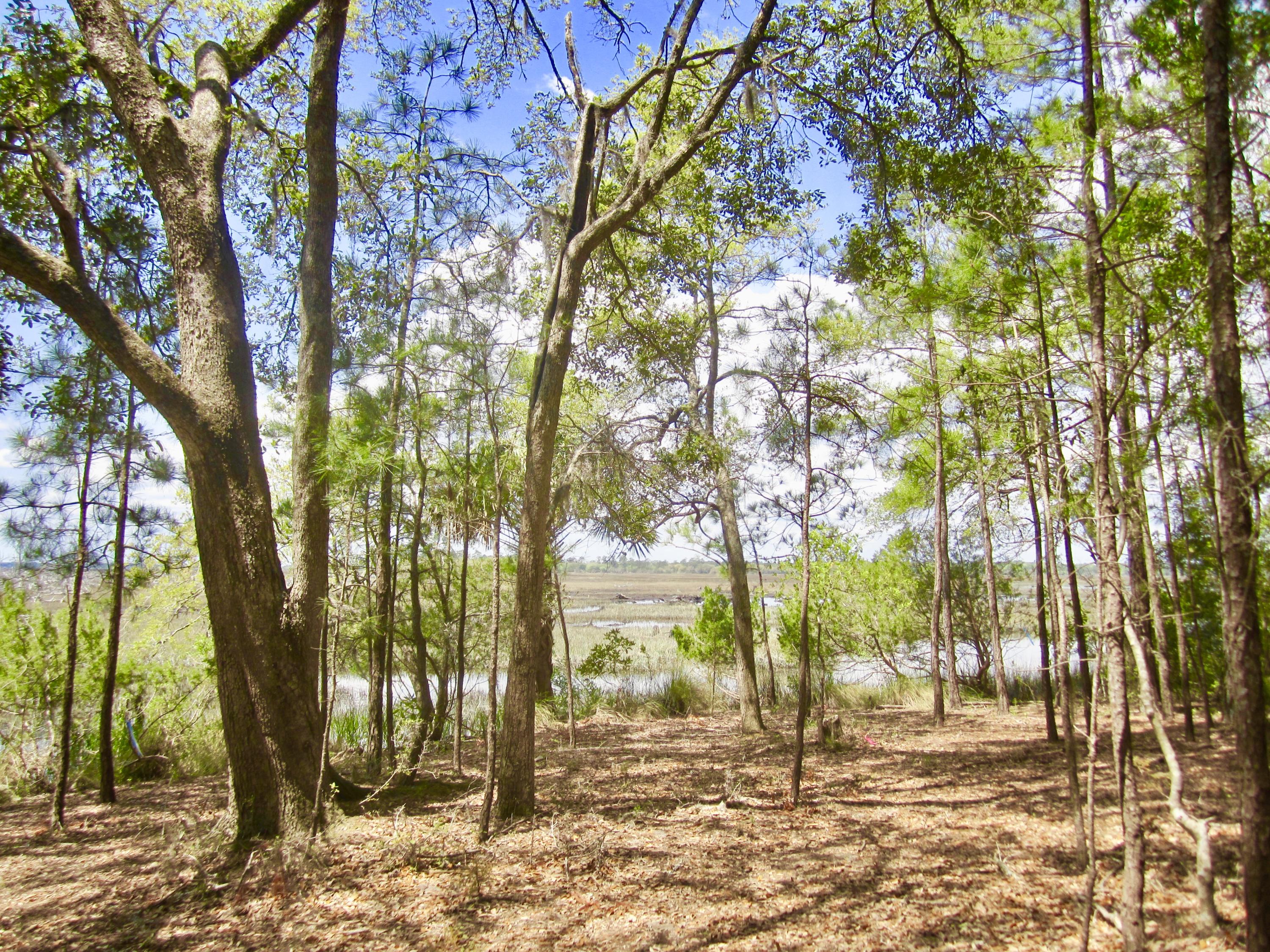 1499 Ravens Bluff Road Johns Island, SC 29455 - Photo 11 of 14 fullsizeoutput_cde