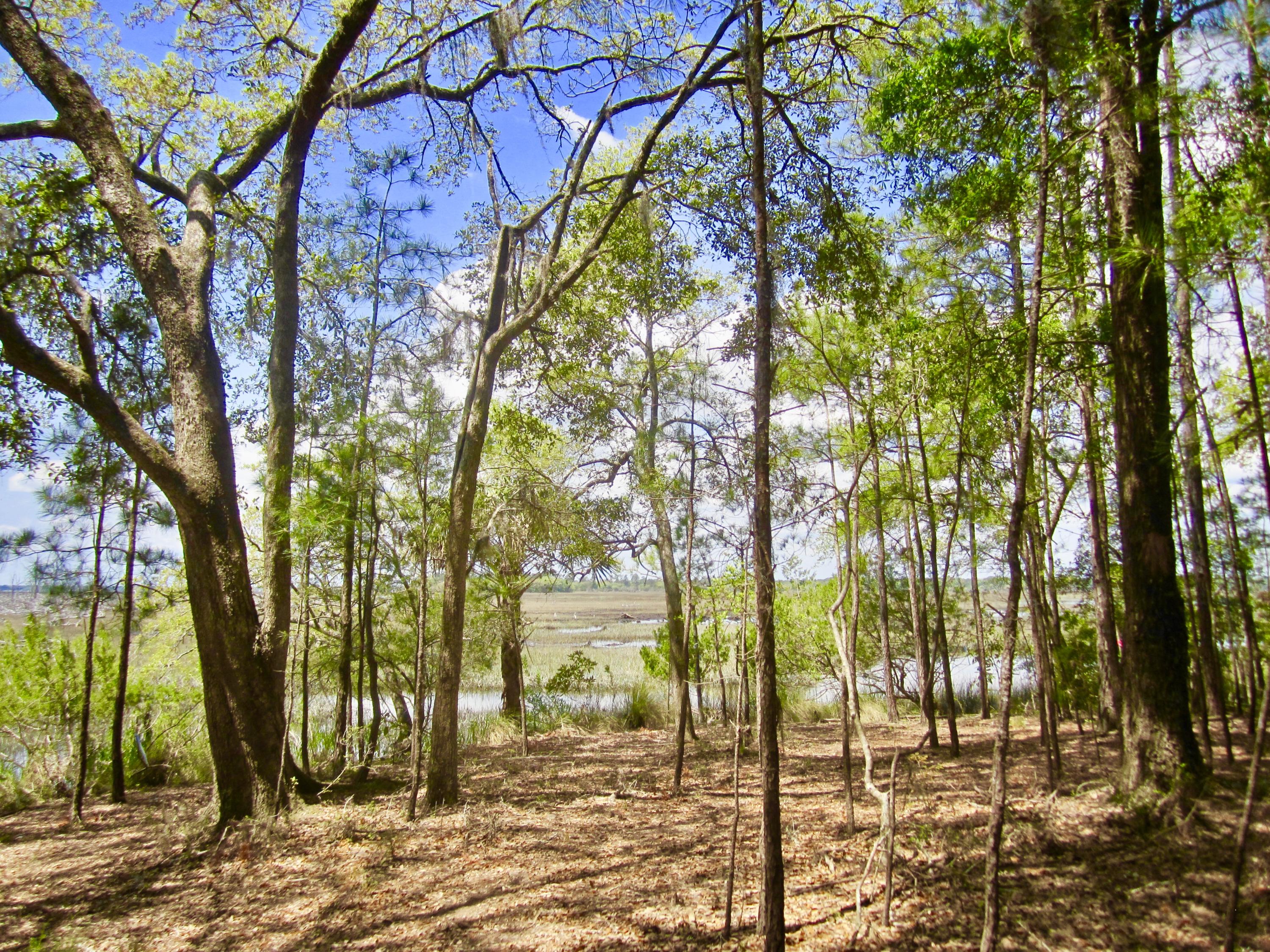 1499 Ravens Bluff Road Johns Island, SC 29455 - Photo 13 of 14 fullsizeoutput_ce0