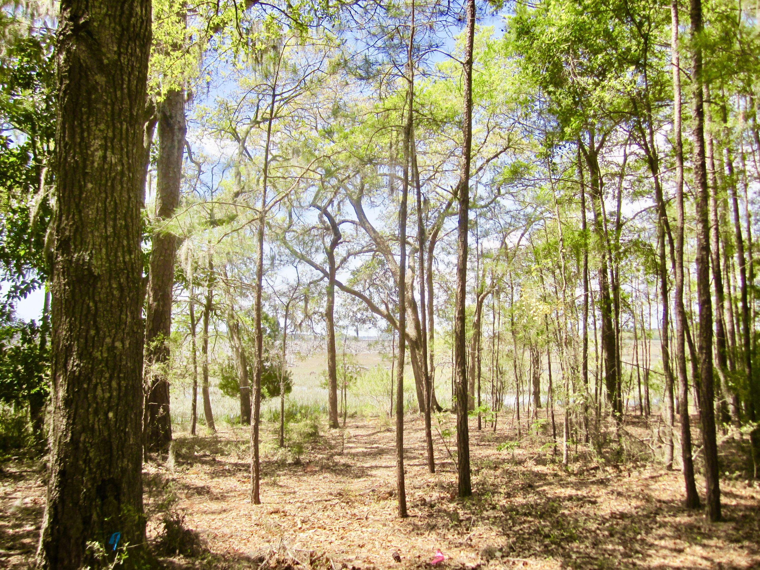 1499 Ravens Bluff Road Johns Island, SC 29455 - Photo 14 of 14 fullsizeoutput_ce1