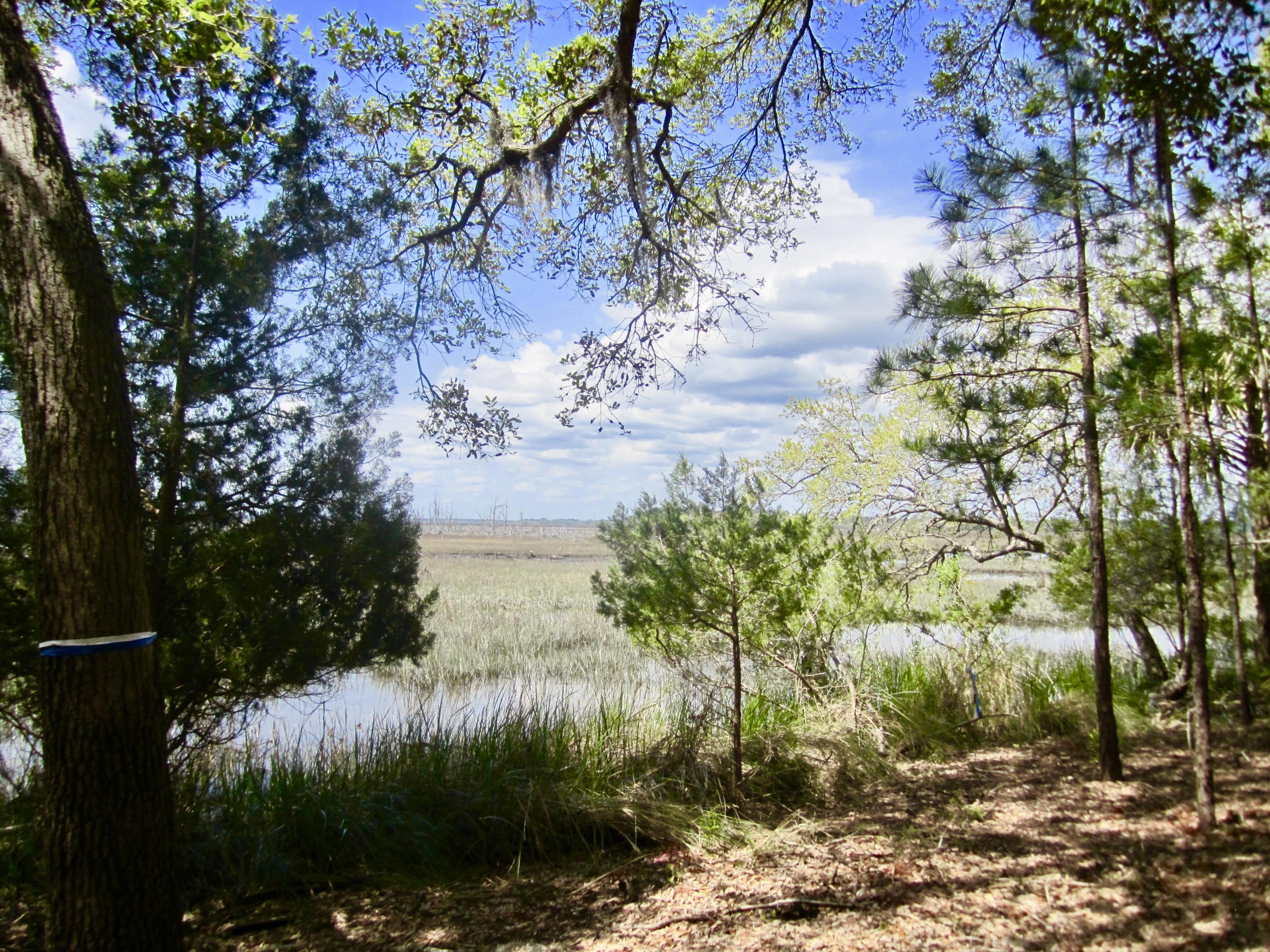 1499 Ravens Bluff Road Johns Island, SC 29455 - Photo 8 of 14 fullsizeoutput_cd8